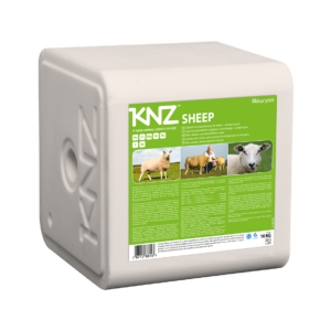 10 kg KNZ SHEEP Salzleckstein für Schafe